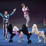 Ringling Bros. and Barnum & Bailey® Presents Built To Amaze