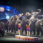 Ringling Bros. and Barnum & Bailey® Presents Built To Amaze