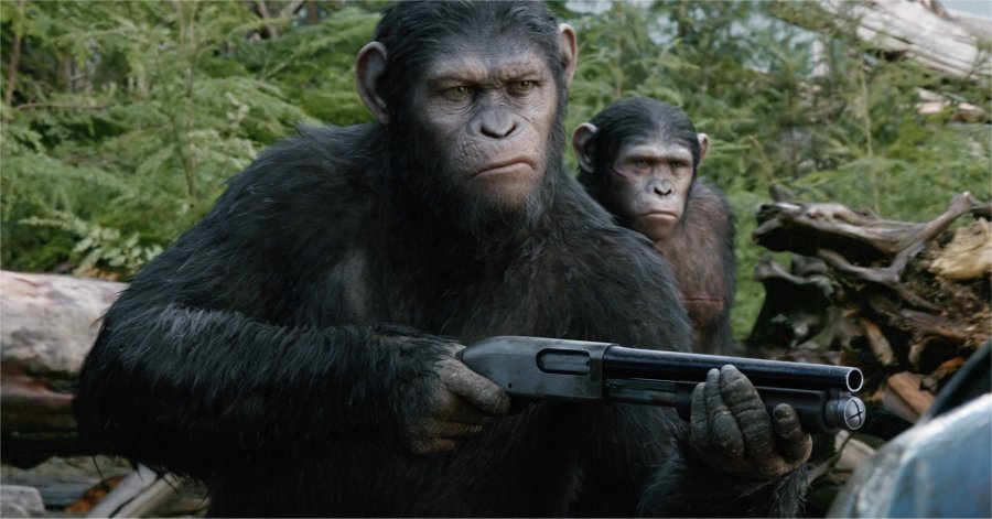 Dawn of the Planet of The Apes (1)