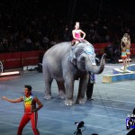 Ringling Bros. and Barnum & Bailey – Legends