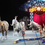 Ringling Bros. and Barnum & Bailey – Legends