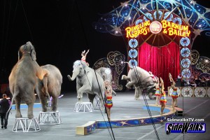 Ringling Bros. and Barnum & Bailey – Legends