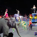 Ringling Bros. and Barnum & Bailey – Legends