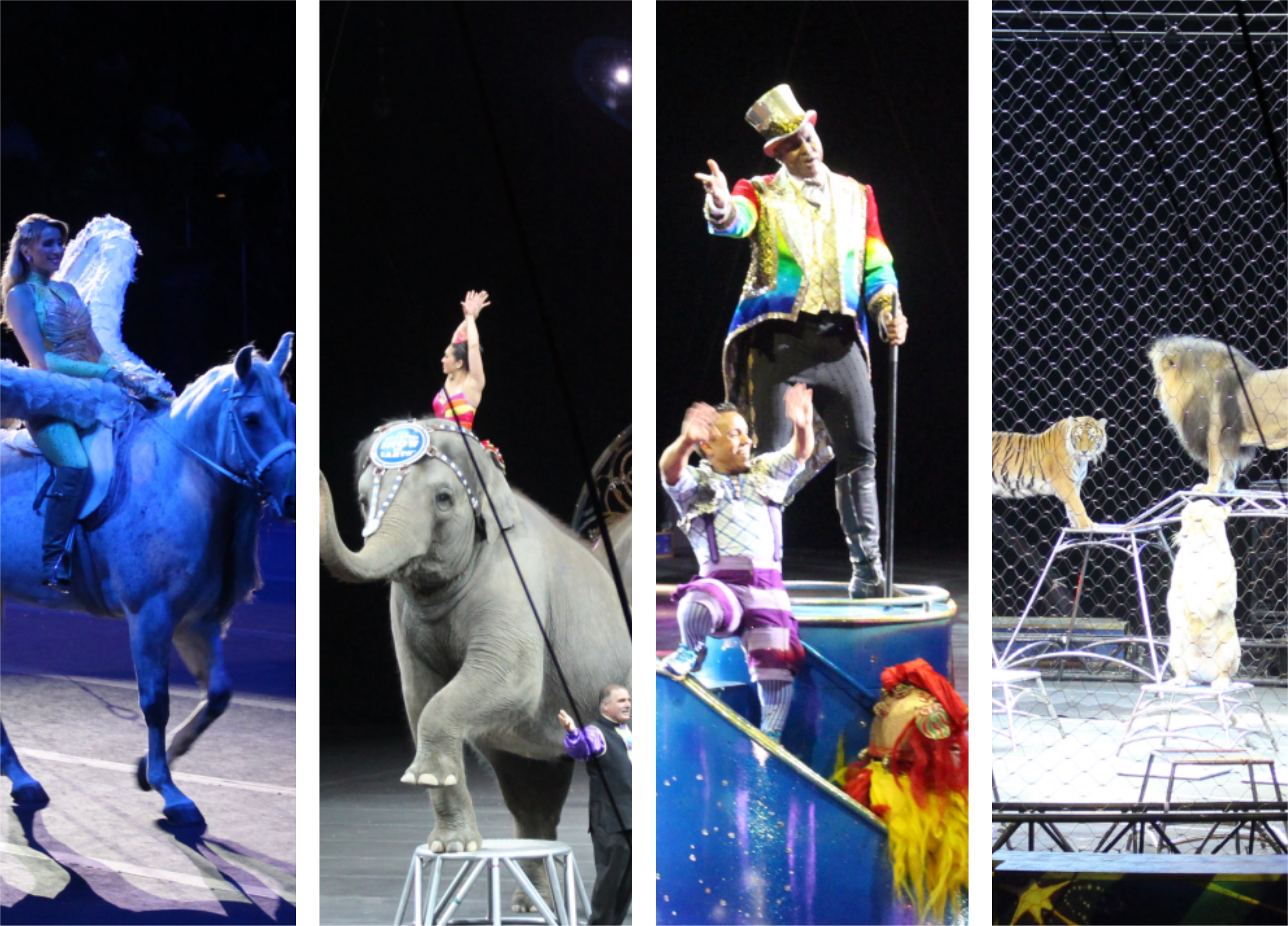 Ringling Bros. and Barnum & Bailey - Legends