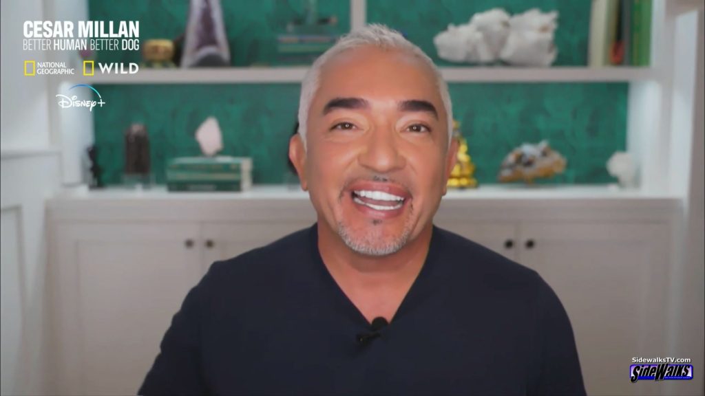 Cesar Millan in a single shot