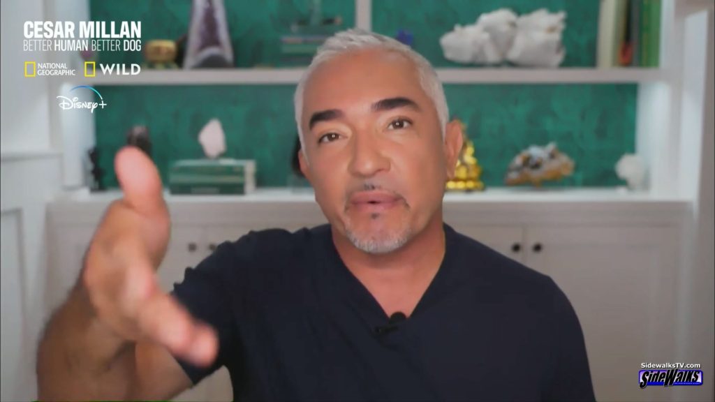 Cesar Millan talks in a closeup shot